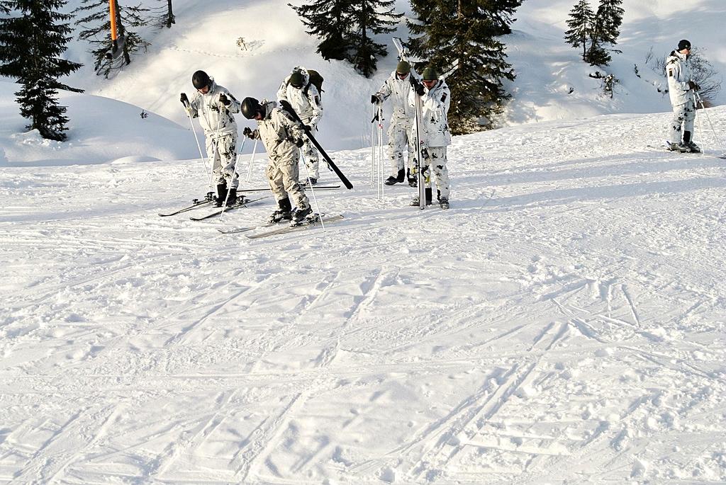 Imagine ilustrativă a categoriilor de ghiduri cukaboa