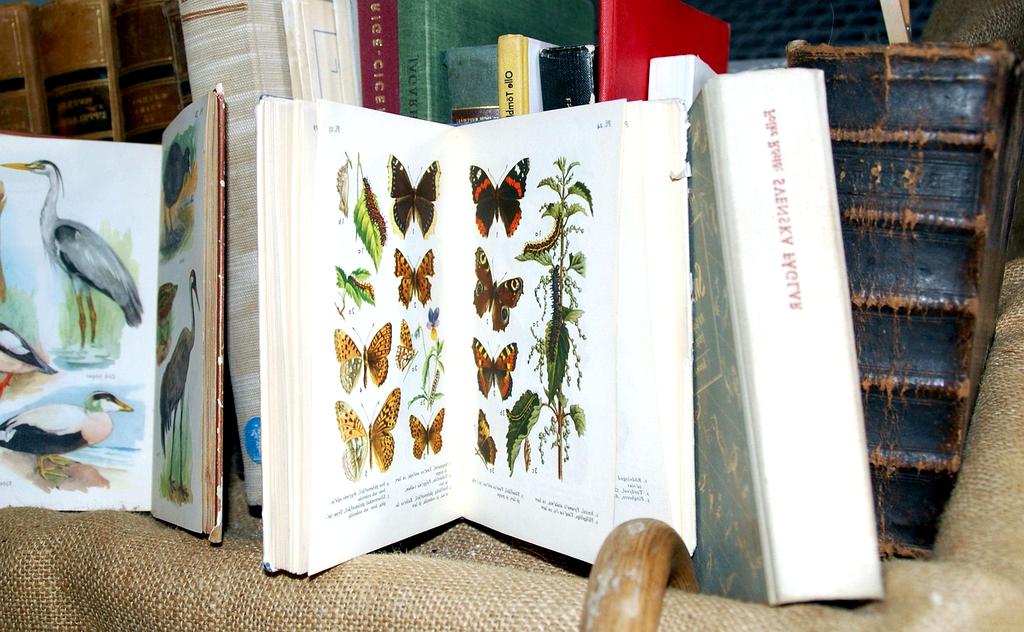 Imagine reprezentativă contact